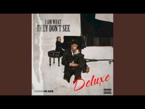 Yungeen Ace – Pain & Profit